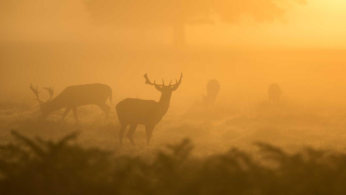 Startup local capta R$ 50 milhões e expande para outros países