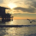 Concurso nacional premia projetos de educação ambiental